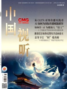 中国视听杂志